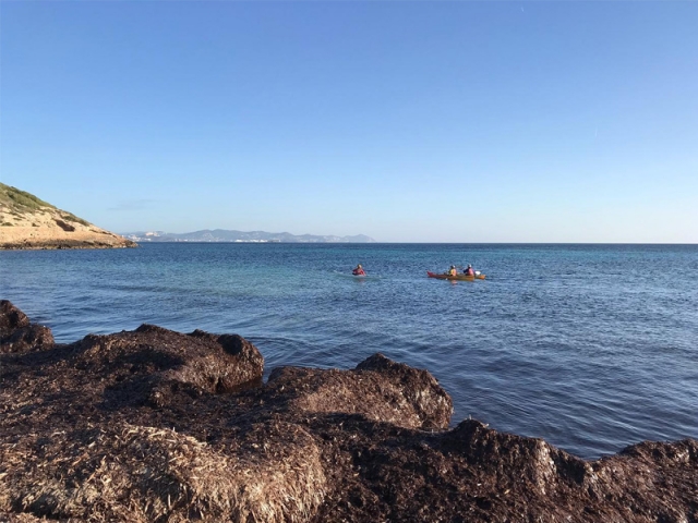 Disfrutando de una salida en kayak