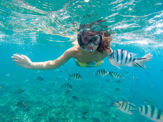 Sesión de snorkel 