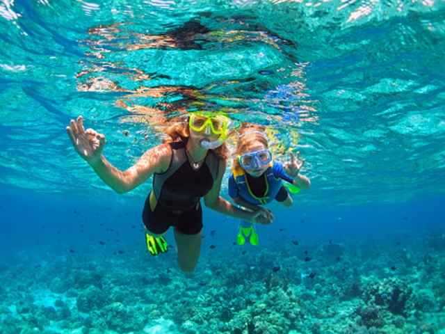Buceando con snorkel 