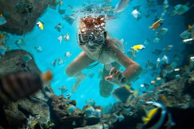 Snorkeling 