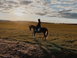 Ruta a caballo por el Arroyo de la Dehesa 1 hora
