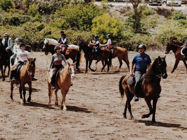 Actividad ecuestre en Guadalajara