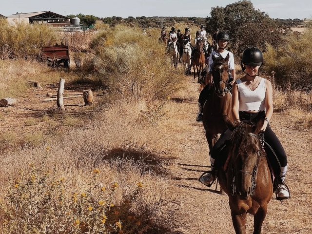 Cabalgamarra en Guadalajara