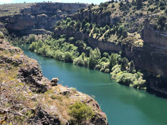 Río Duratón