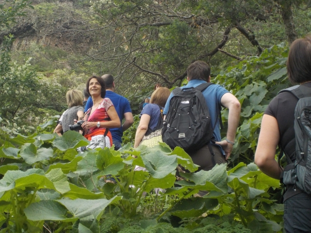 Wanderroute 