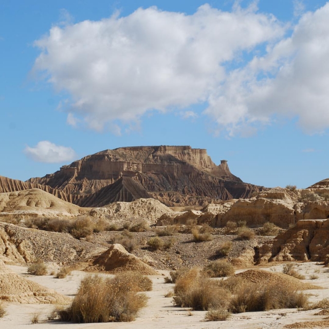 Desierto Navarro
