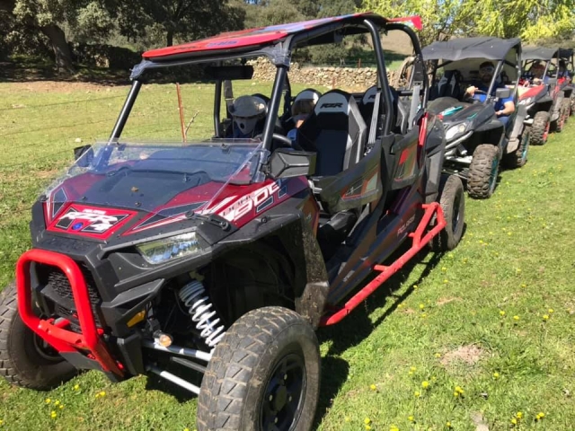 Buggy 4 plazas