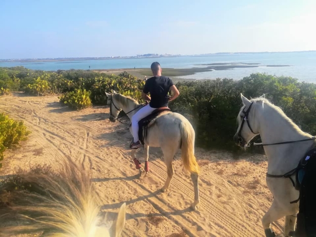 Llegando a la playa