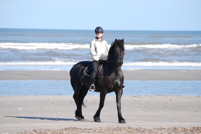 Con el caballo en la playa