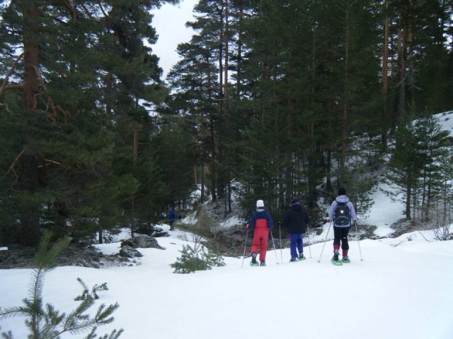 Excursiones invernales