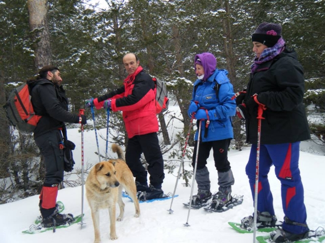 Rutas con raquetas de nieve con perros