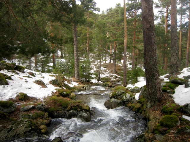 Paisaje de la Sierra de Madrid