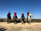 Cours d'équitation à Chiclana de la Frontera 1 heure