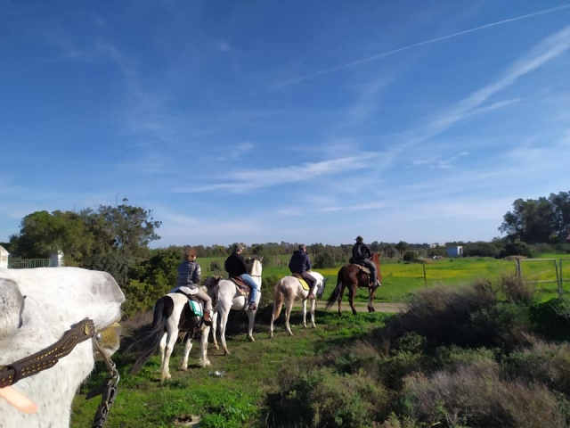  walk around the outskirts of the equestrian center 