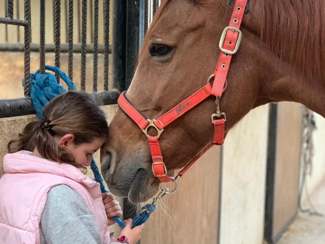 Equestrian tourism in Cildoz 