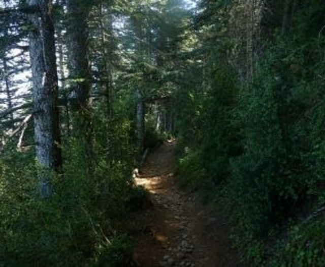  BBT trails through the Pyrenees 