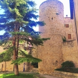 Ruta guiada por Sigüenza inglés o castellano 90min