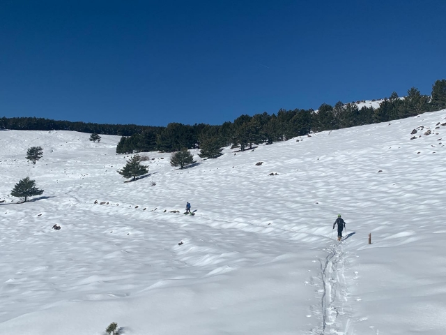  穿着雪鞋穿越 