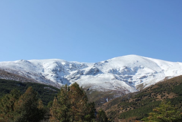 Snowy Picón de Jerez 