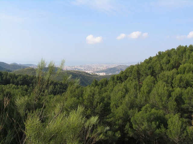  Wälder der Montes de Málaga 
