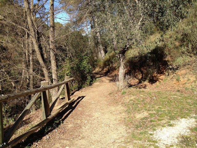  Spaziergang durch die Montes de Málaga 