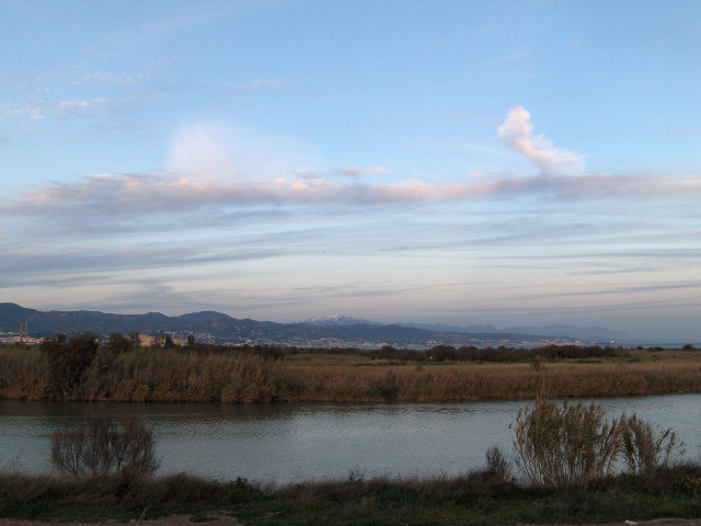 Ruta de camicrema por la Desembocadura del Guadalhorce