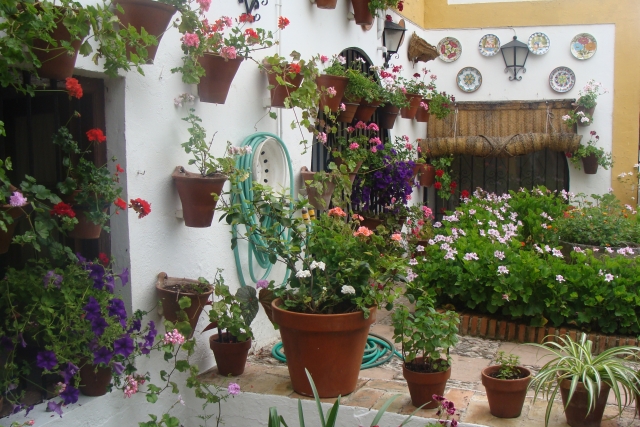 Visitando patios en el Festival de Córdoba 