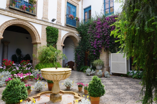 Paseo por Córdoba y sus patios 