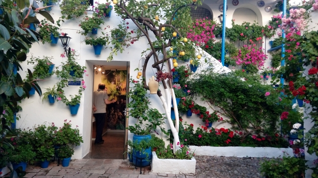 Visita guiada por los patios de Córdoba