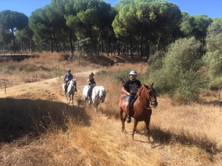Itinerario a cavallo attraverso El Aljarafe 4 ore Bambini