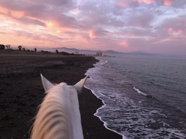  Escursione a cavallo al tramonto 