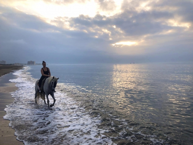  Itinerario privato a cavallo 