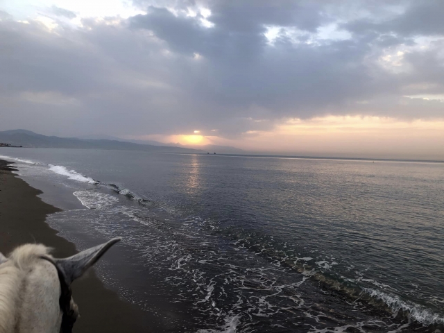  Escursione a cavallo attraverso il spiaggia