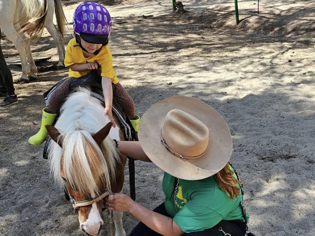  Profitez de nos ponies à Cala Ratjada