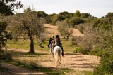 Itinerario a cavallo nella Valle del Randa, 3 ore