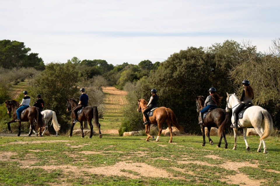  During an equestrian experience 