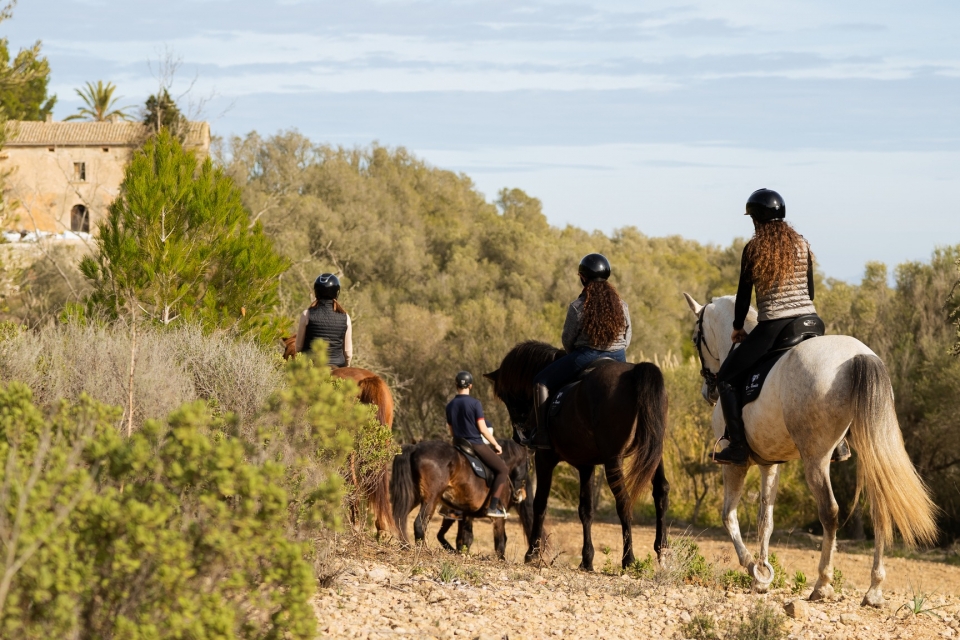 Randa Valley on horseback 