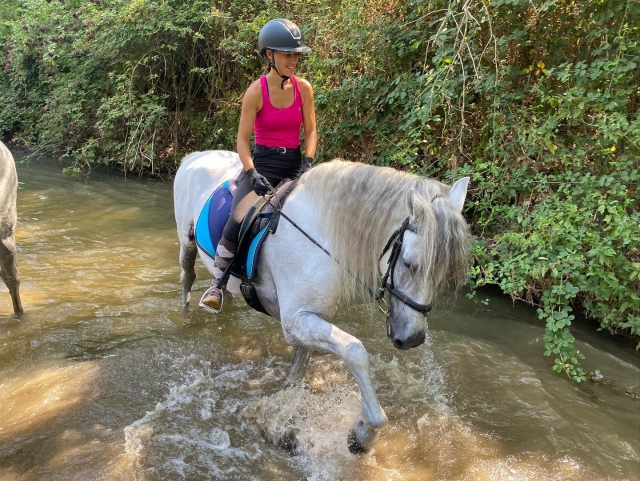  Passeio a cavalo pelas montanhas 