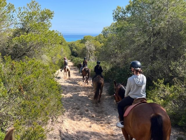  Mallorca zu Pferd 