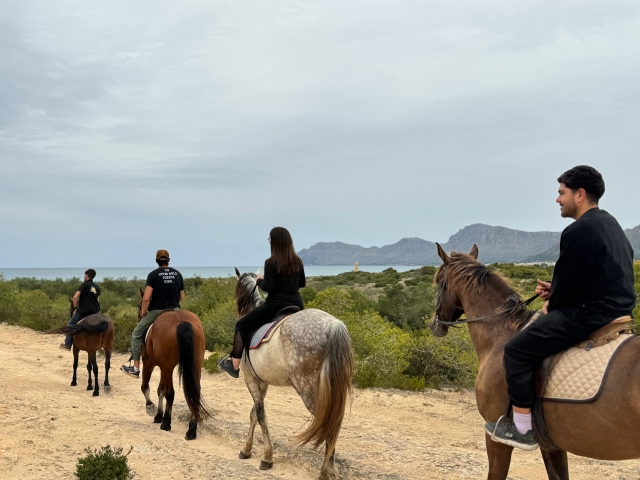 p-67741-paseos-a-caballo-en-mallorca1747922020_17479270455834.jpeg