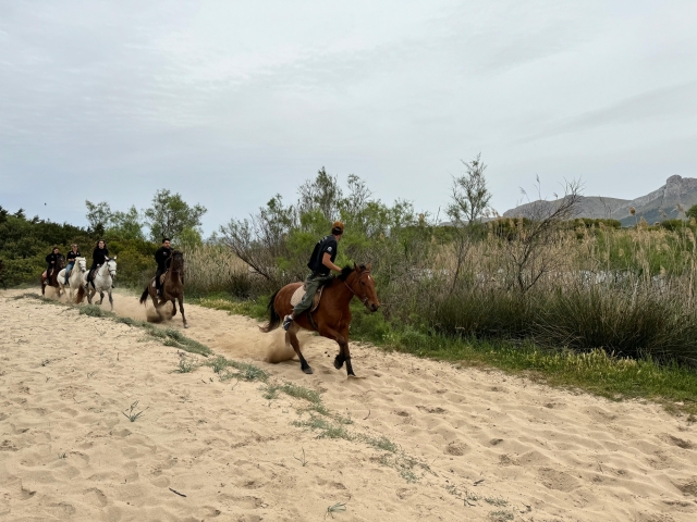  Route zu Pferd