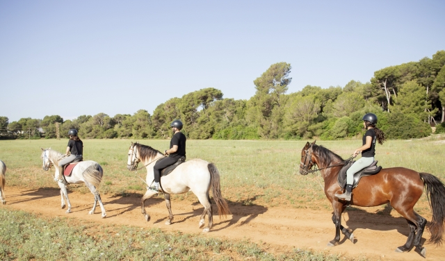 Cabalgamarra por Son Bauló