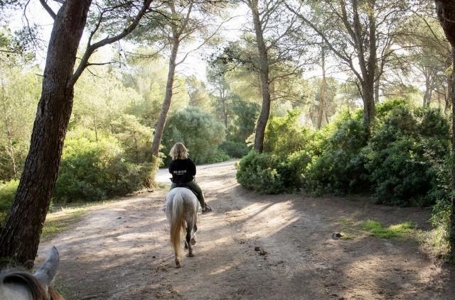 Sube a lomos de un equino