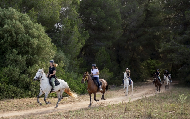 Cabalga por Can Picafort