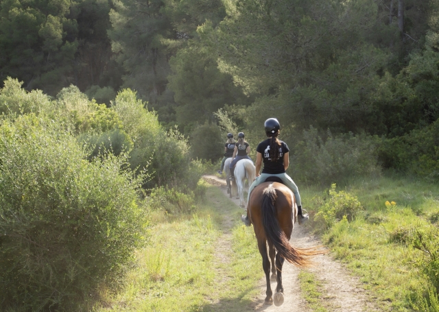 Ruta ecuestre