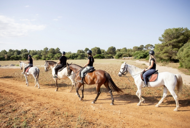 Cabalgamarras por Son Bauló