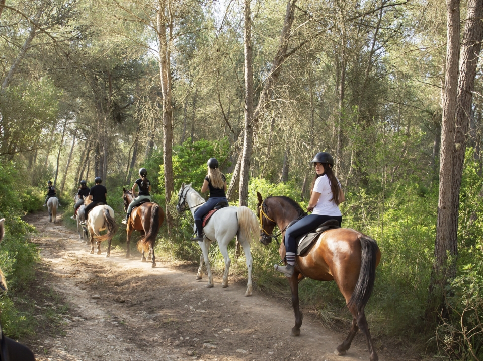 Cabalgamarra de 1 hora