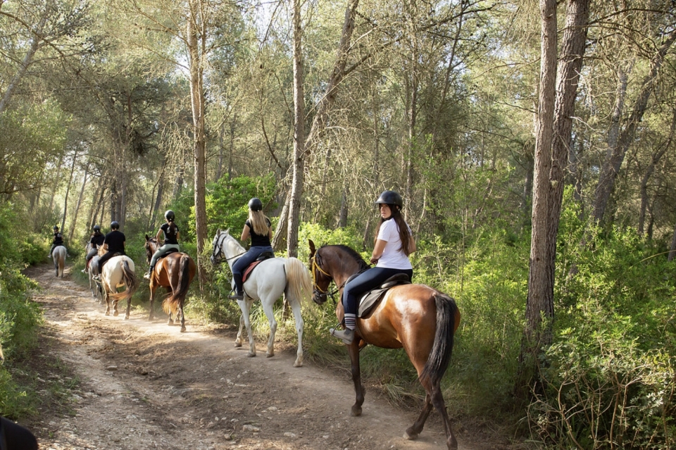 Cabalgamarra por Can Picafort