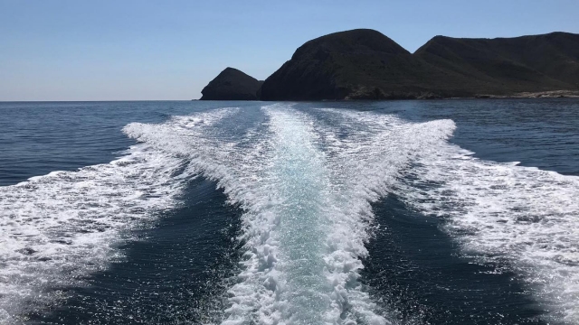 Curso de Buceo en el Parque Natural de Cabo de Gata