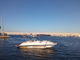 Excursion en bateau pour observer les dauphins Fuengirola 2h